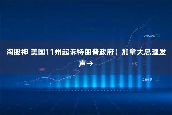 淘股神 美国11州起诉特朗普政府！加拿大总理发声→
