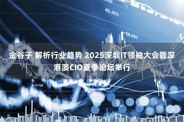金谷子 解析行业趋势 2025深圳IT领袖大会暨深港澳CIO夏季论坛举行