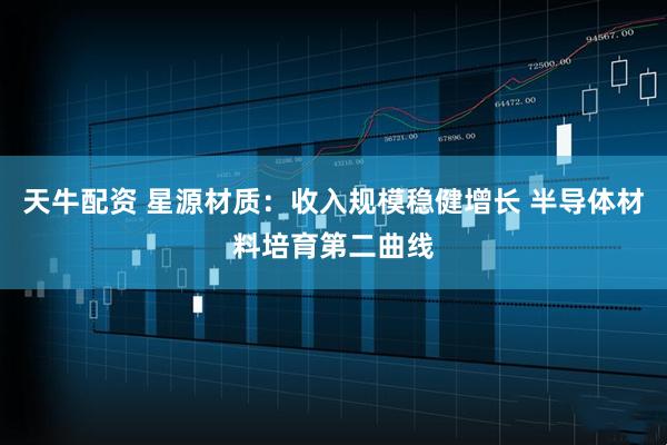 天牛配资 星源材质：收入规模稳健增长 半导体材料培育第二曲线