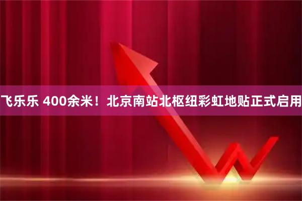 飞乐乐 400余米！北京南站北枢纽彩虹地贴正式启用