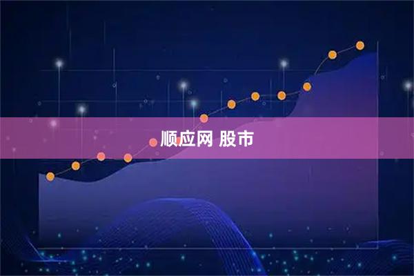 顺应网 股市