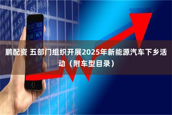 鹏配资 五部门组织开展2025年新能源汽车下乡活动（附车型目录）