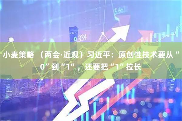 小麦策略 (两会·近观)习近平:原创性技术要从“0”到“1”,还要把“1”拉长